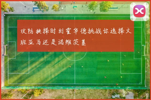 攻防抉择时刻霍华德挑战你选择文班亚马还是诺维茨基